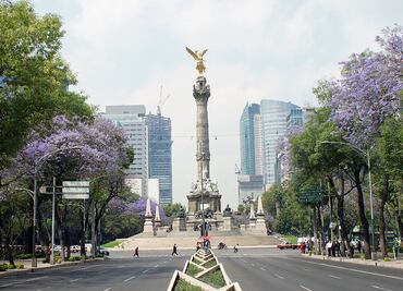Las calles más exclusivas (y caras) para vivir en la CDMX