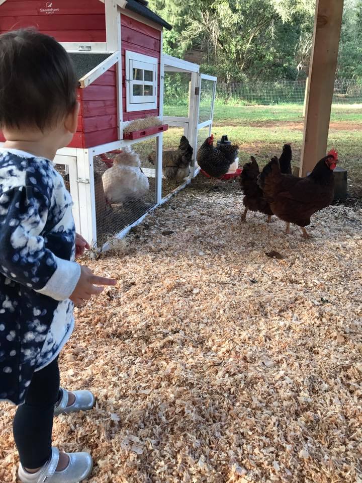 Las vacaciones de Mark Zuckerberg y su familia en Kauai