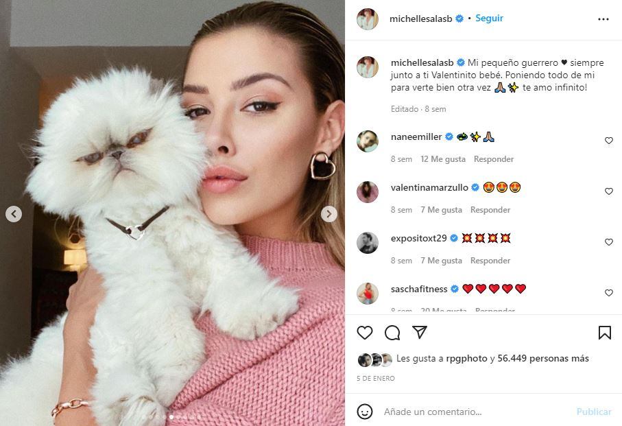 Michelle Salas está de luto: muere su gatito Valentino 
