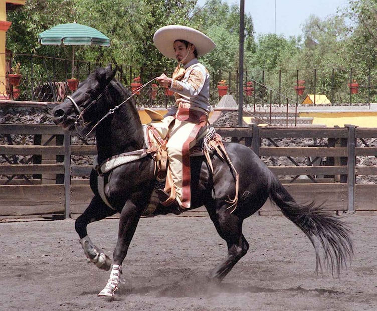 Miguel Rodarte en 'El Tigre de Santa Julia'. (Foto: Archivo El Universal)
