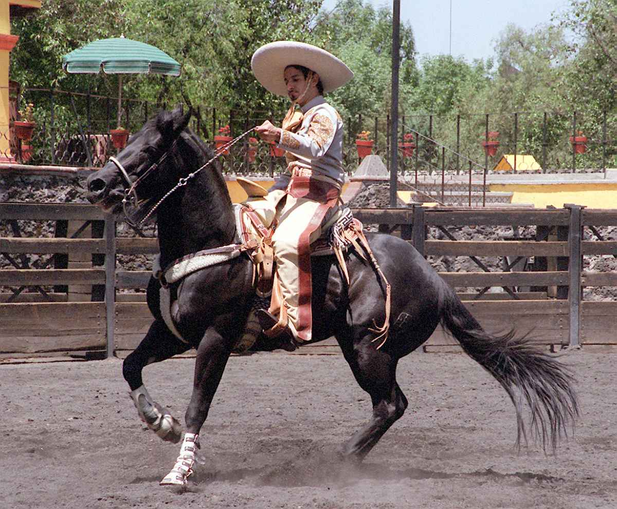 Miguel Rodarte en 'El Tigre de Santa Julia'. (Foto: Archivo El Universal)