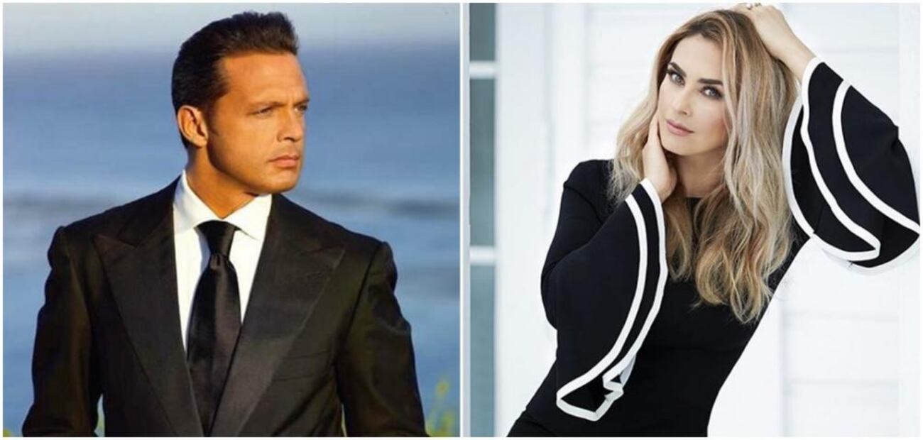 Foto que comprueba que el hijo mayor de Aracely Arámbula es idéntico a Luis Miguel 
