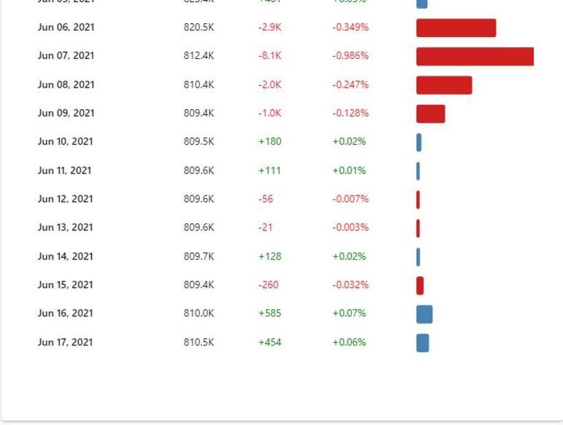 Bárbara de Regil, Sherlyn, Raúl Araiza y más que perdieron miles de seguidores por violar veda electoral