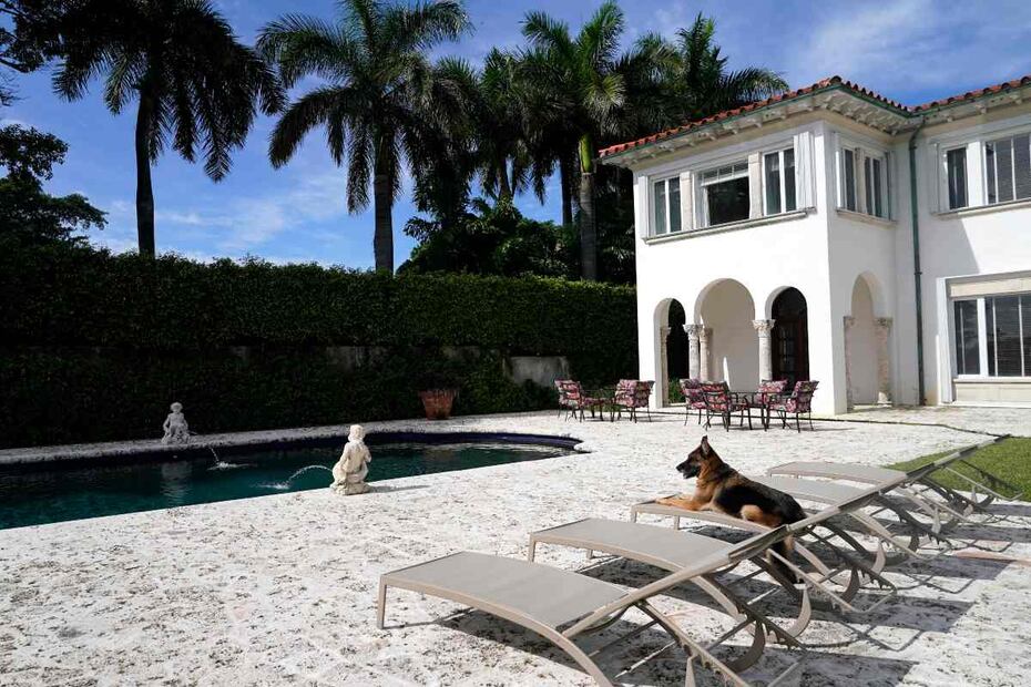 Gunther VI, un perro heredero de 500 mdd, vende mansión que fue de Madonna