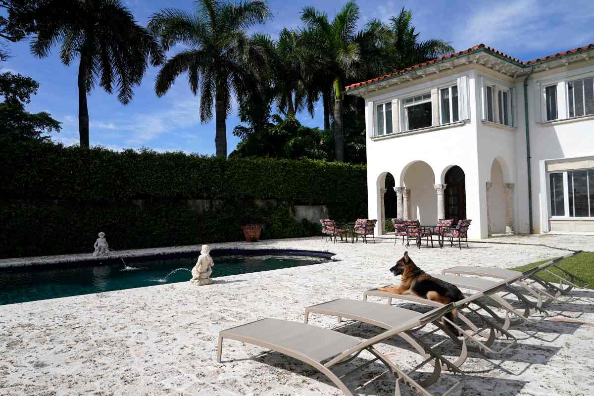 Gunther VI, un perro heredero de 500 mdd, vende mansión que fue de Madonna