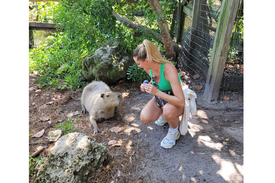 Marjorie y las capibaras en Gatorland. (Foto: Especial)