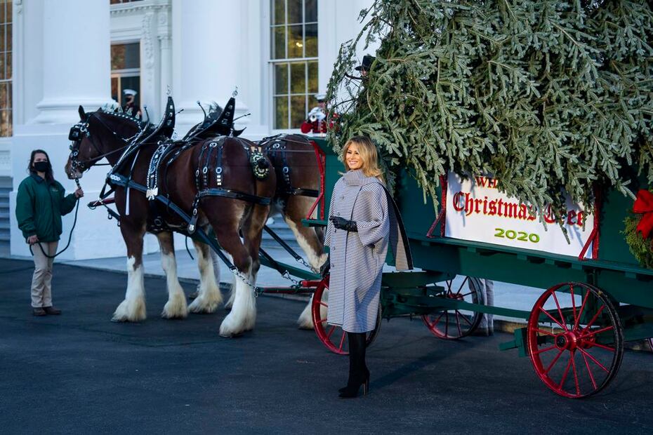 Melania Trump recibe por última vez el árbol de Navidad en la Casa Blanca