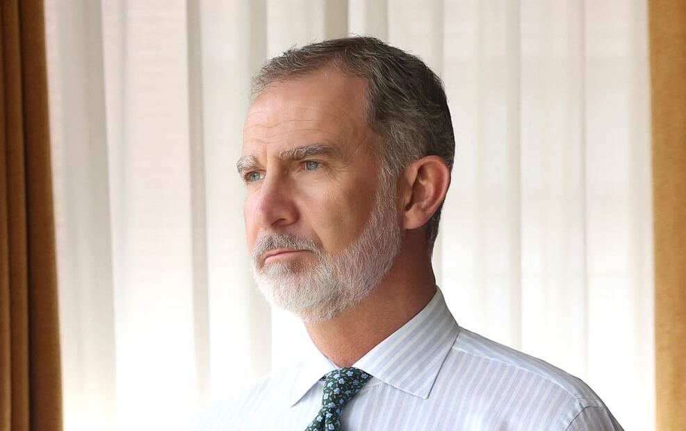 El rey Felipe VI / Foto: EFE