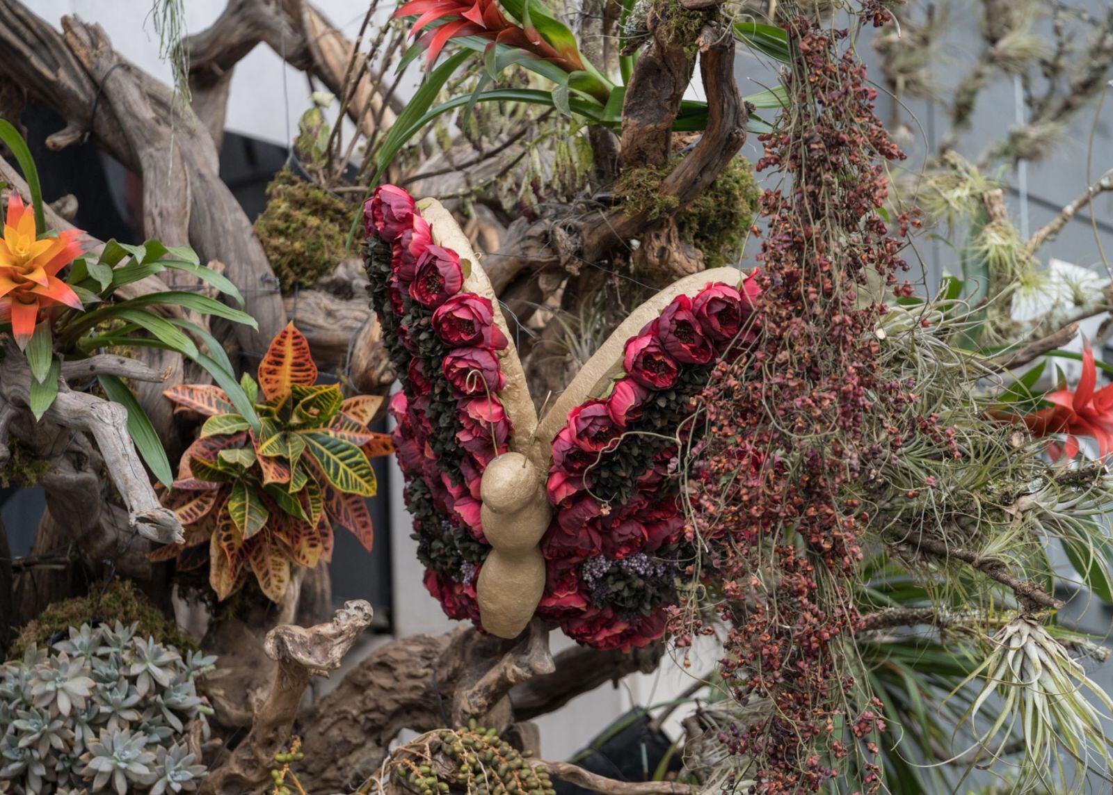 Paty Elías Calles: La creadora de FYJA