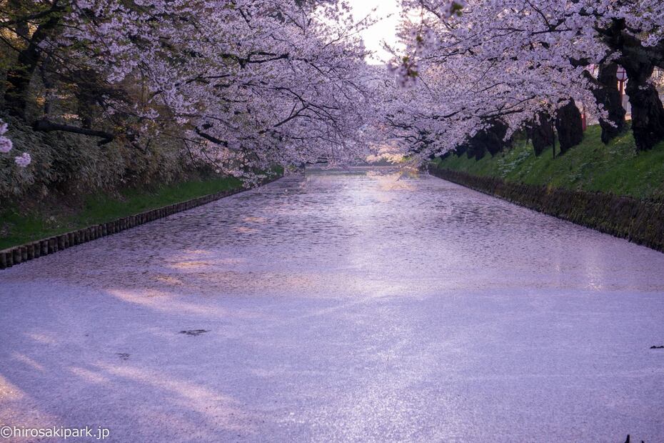 Conoce los espectaculares castillos de Japón