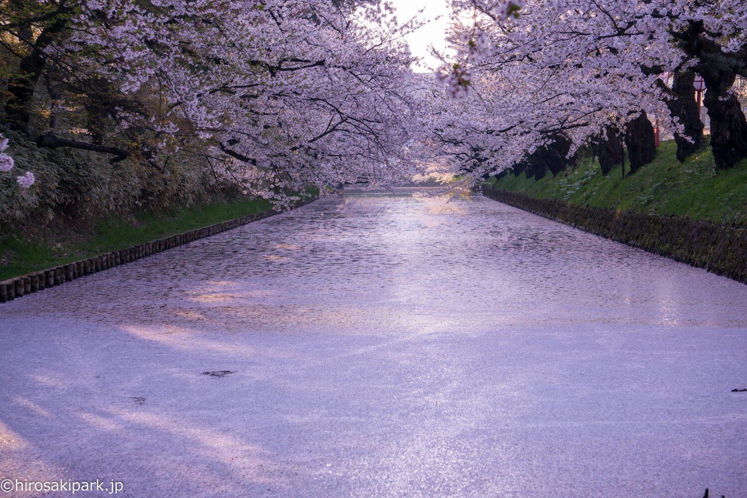 Conoce los espectaculares castillos de Japón