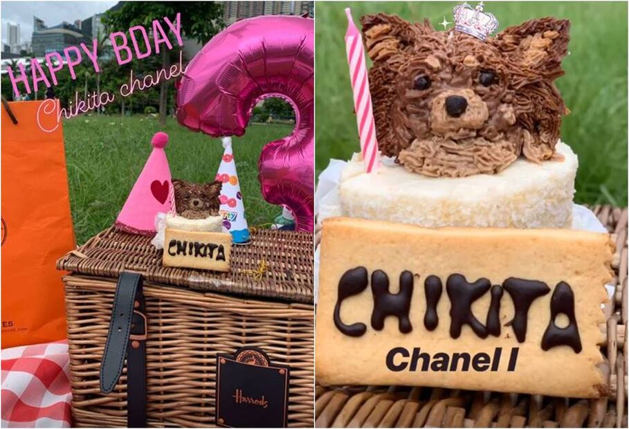 Deborah Hung organiza lujosa fiesta para Chikita Chanel, su mascota