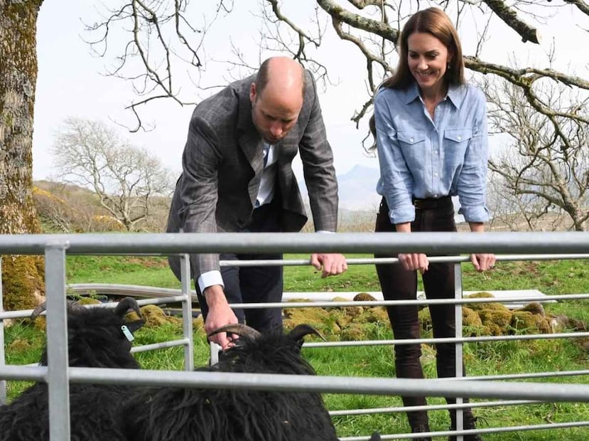 El príncipe William y Kate Middleton / Foto: Instagram @princeandprincessofwales