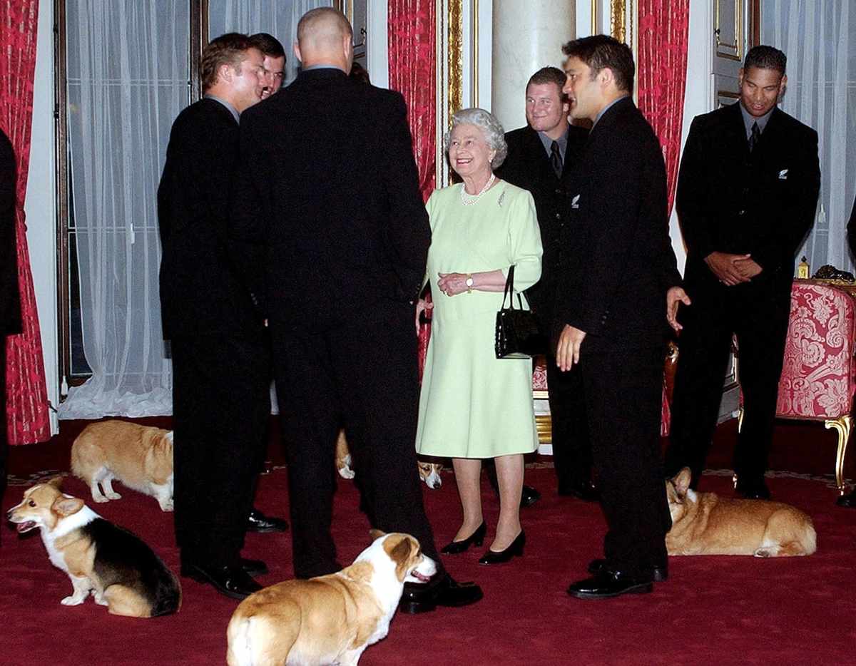 Isabel II devastada: muere el cachorro que Andrés de York le regaló tras el fallecimiento del príncipe Felipe