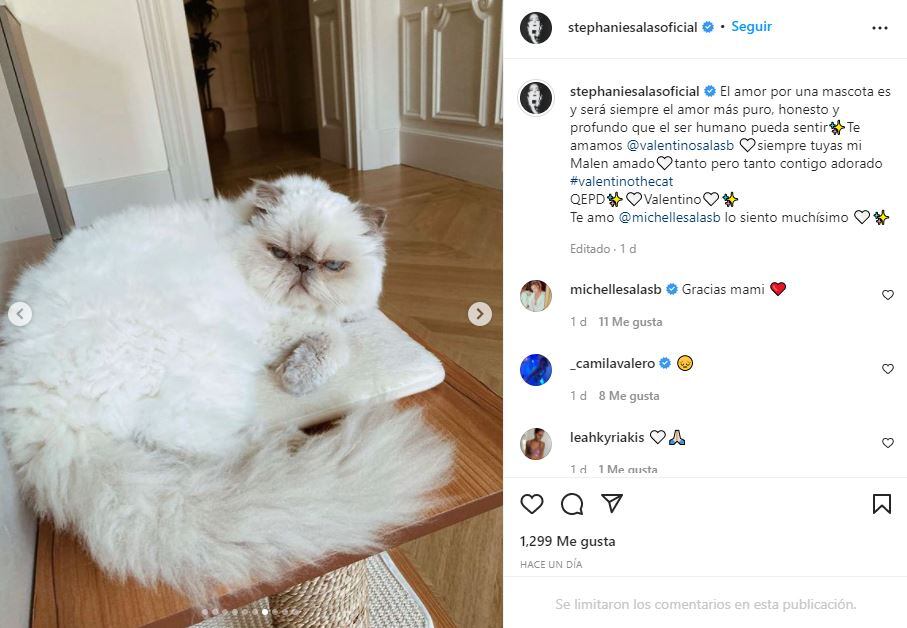 Michelle Salas está de luto: muere su gatito Valentino 