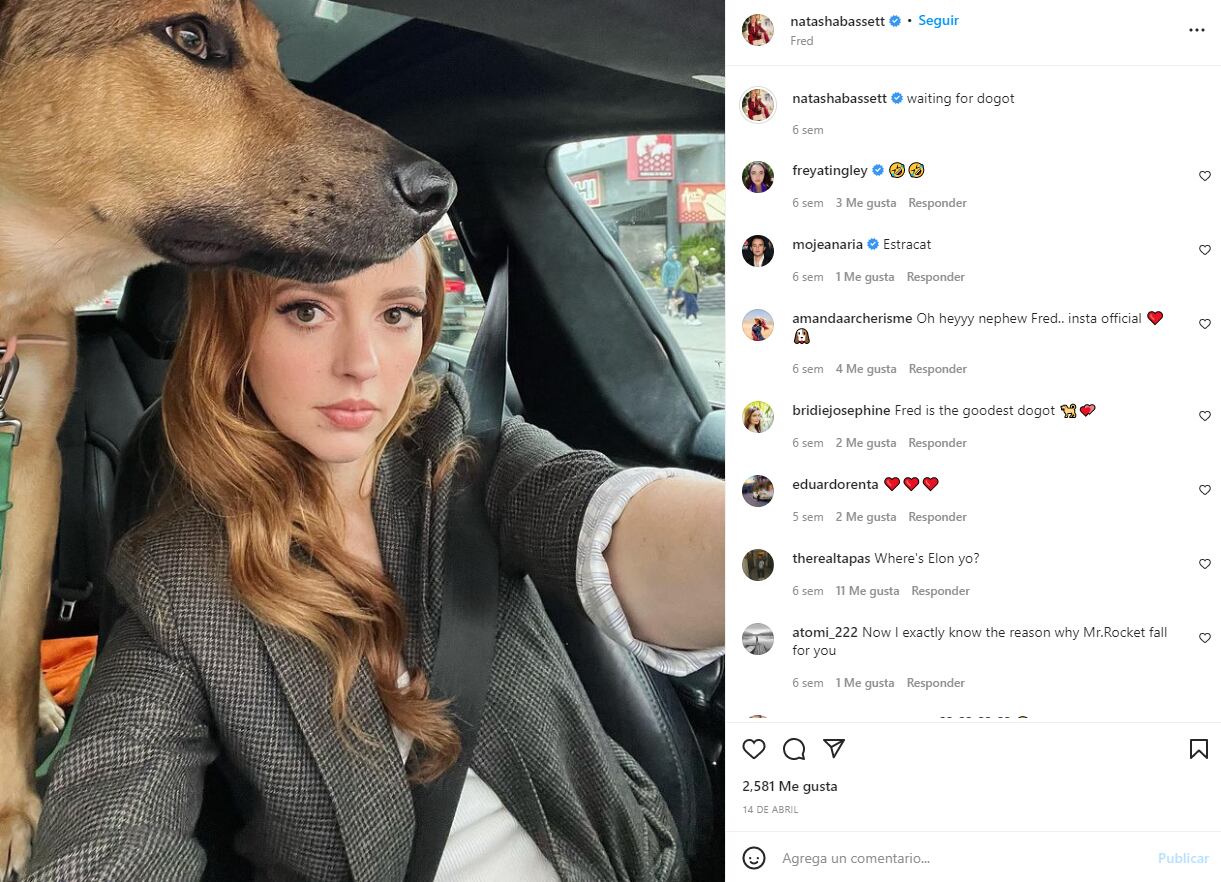 Elon Musk ya terminó con Natasha Bassett y su mamá está "extremadamente desanimada"