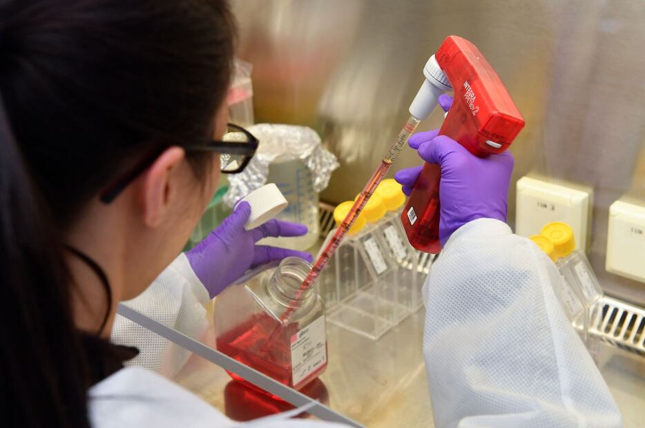 La World Health Organization derriba estos mitos sobre el coronavirus 