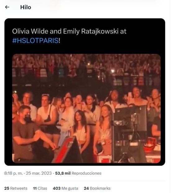 Harry Styles y Emily Ratajkowski sorprenden al ser captados besándose apasionadamente 