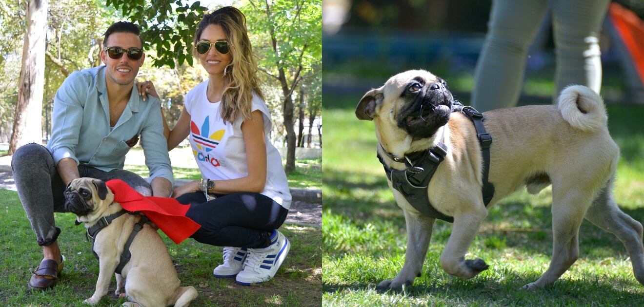 Regina Bautista nos presenta a “Bolillo”, su gran protector 