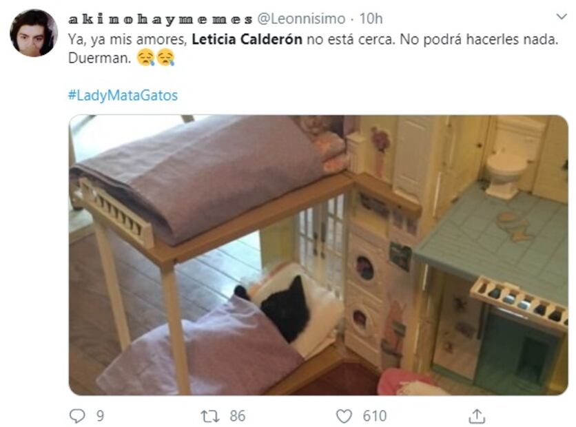 "Si veo un gato en periférico, lo atropello": Leticia Calderón y su fobia a los gatos