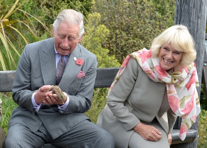 La historia de amor entre el príncipe Charles y Camilla  