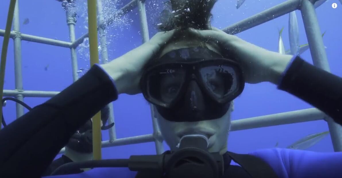 No te puedes perder el video de Juanpa Zurita nadando con tiburones