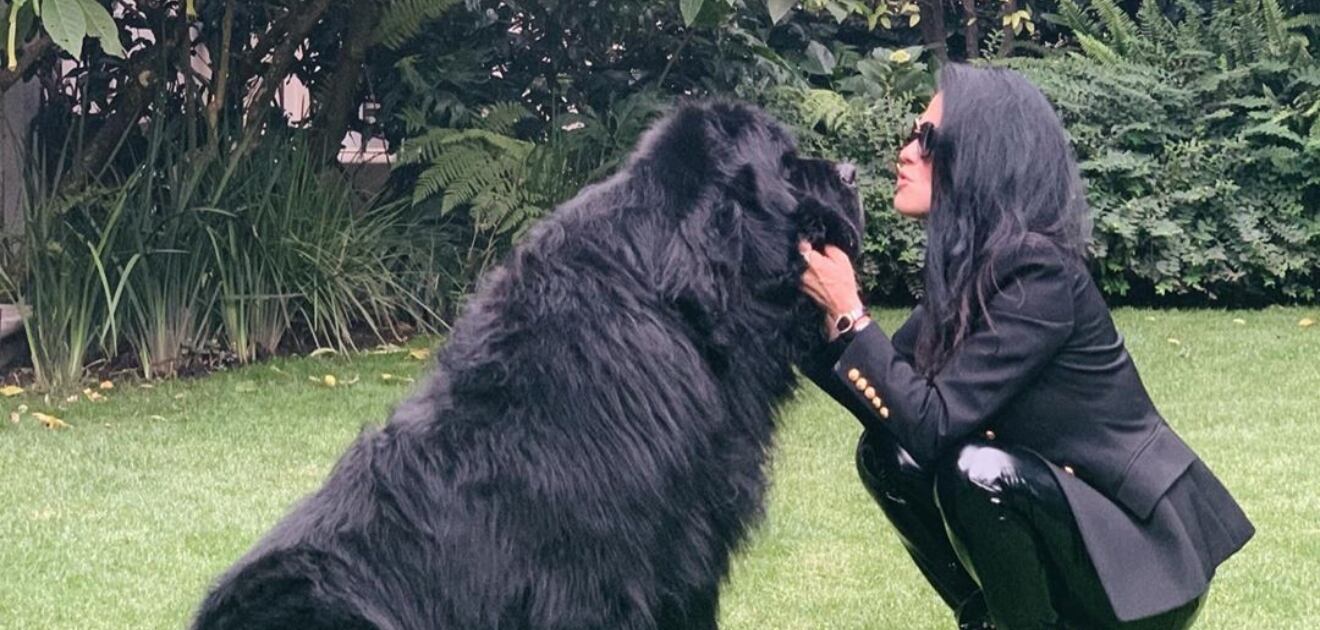 Martha Debayle se despide con gran tristeza de Gastón, su querida mascota