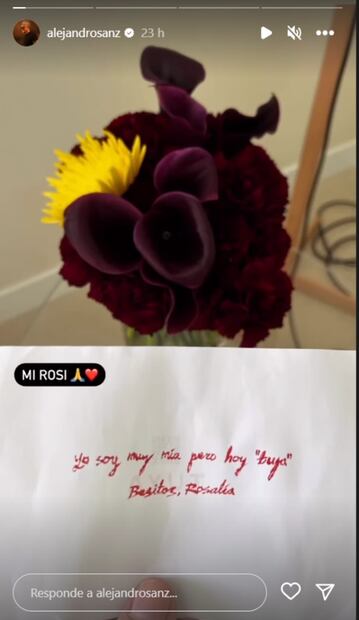 El regalo de Rosalía a Alejandro Sanz / Instagram