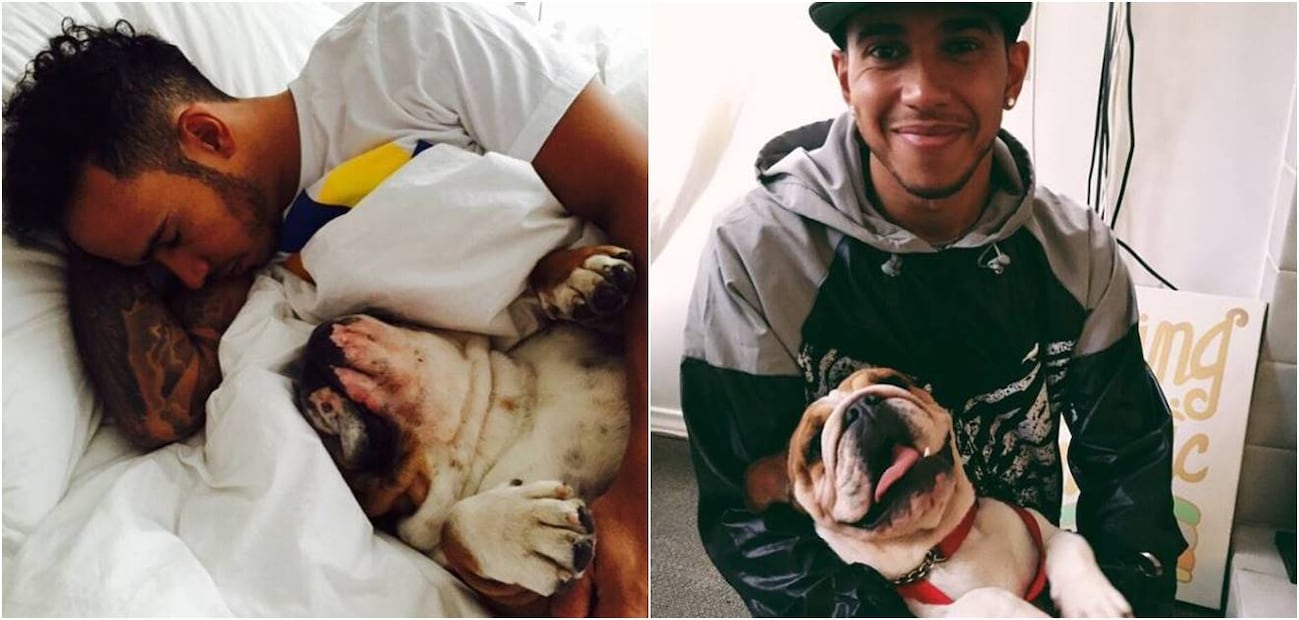 Conoce a Roscoe y Coco, las amadas mascotas de Lewis Hamilton, piloto de la Fórmula 1
