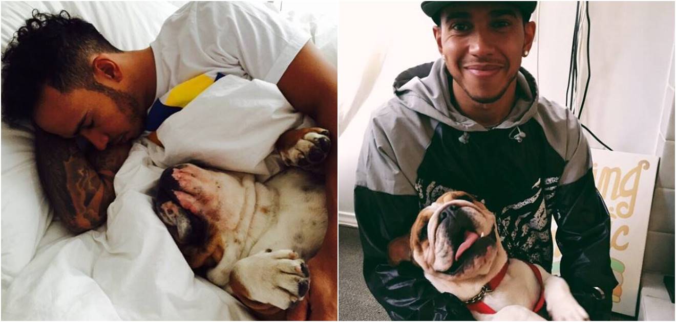 Conoce a Roscoe y Coco, las amadas mascotas de Lewis Hamilton, piloto de la Fórmula 1