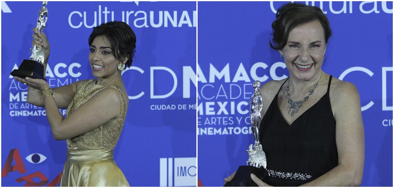 Ganadores, sorpresas y apariciones inesperadas en los Ariel 2017