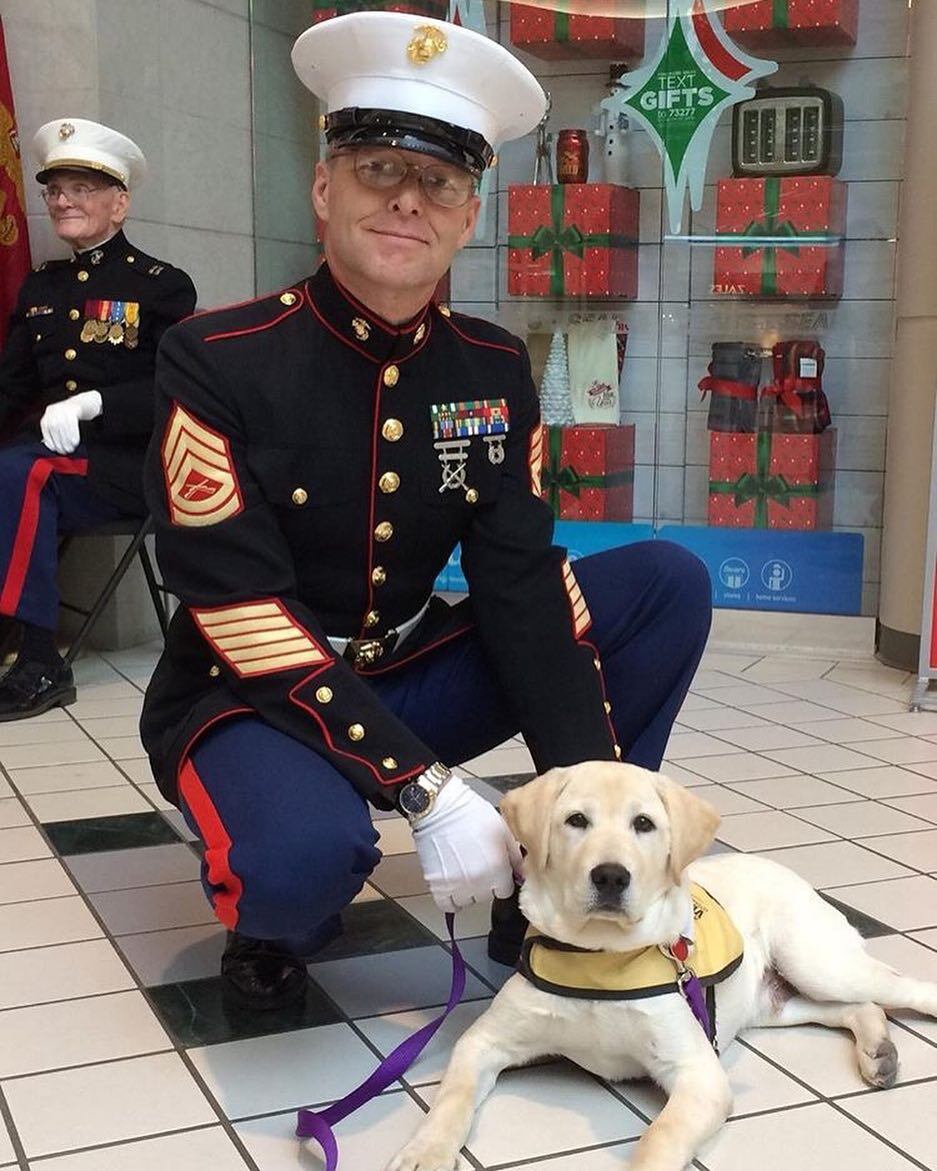 Las fotos más tiernas de Sully, el perro de George Bush padre