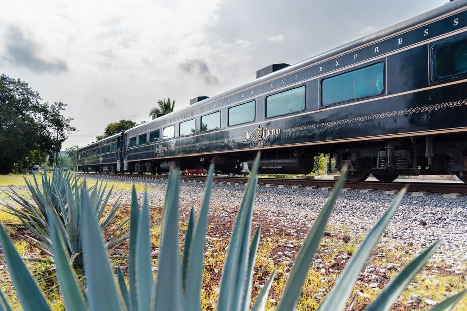 24 horas en: Tequila, pueblo mágico