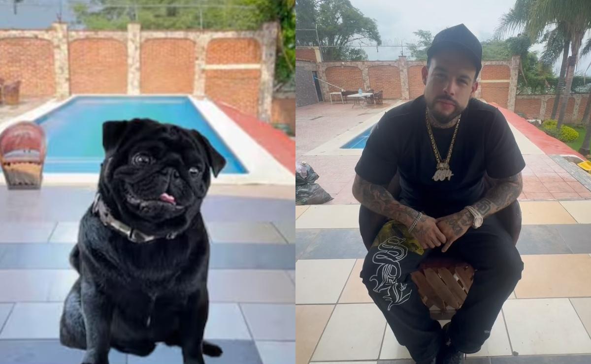La fotografía publicada por la cuenta de 'El Gordo' Aguilar comparada con una fotografía de Emiliano Aguilar / Fotos: Especial