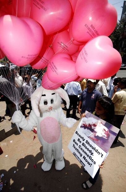 ¿Cómo saber si un producto es libre de crueldad animal?