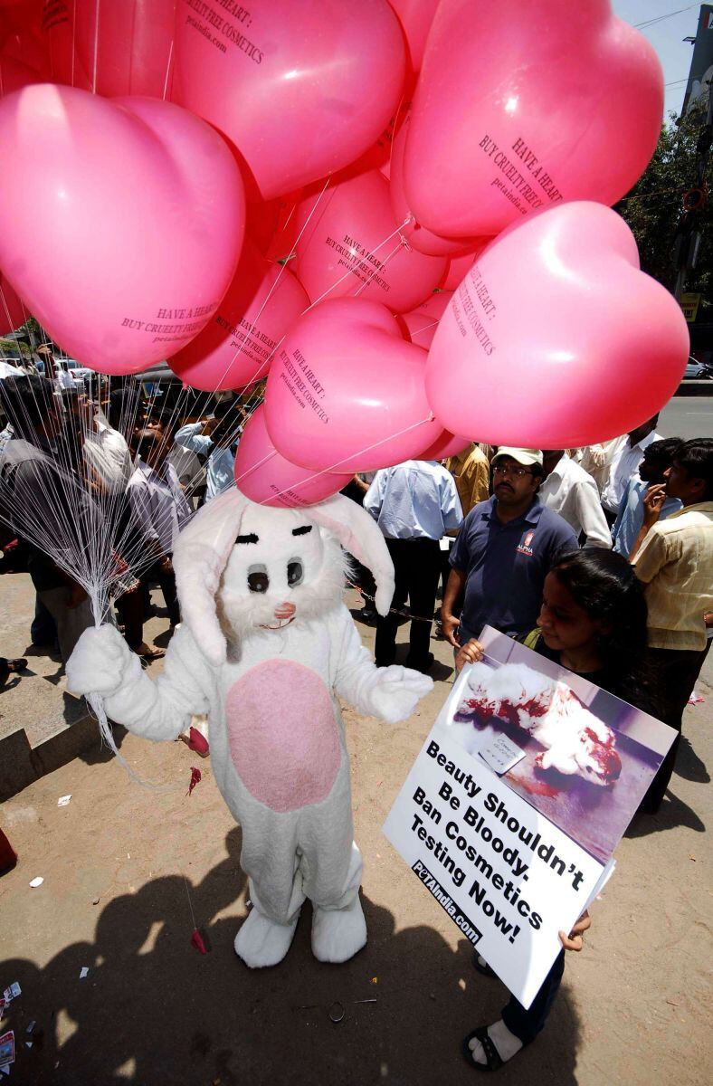 ¿Cómo saber si un producto es libre de crueldad animal?