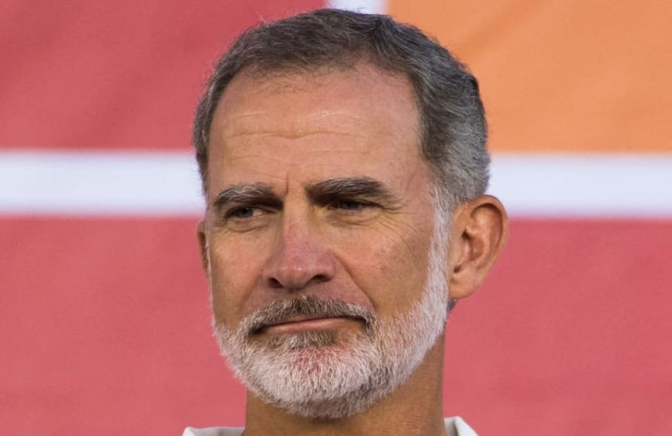 El rey Felipe VI / Foto: AFP