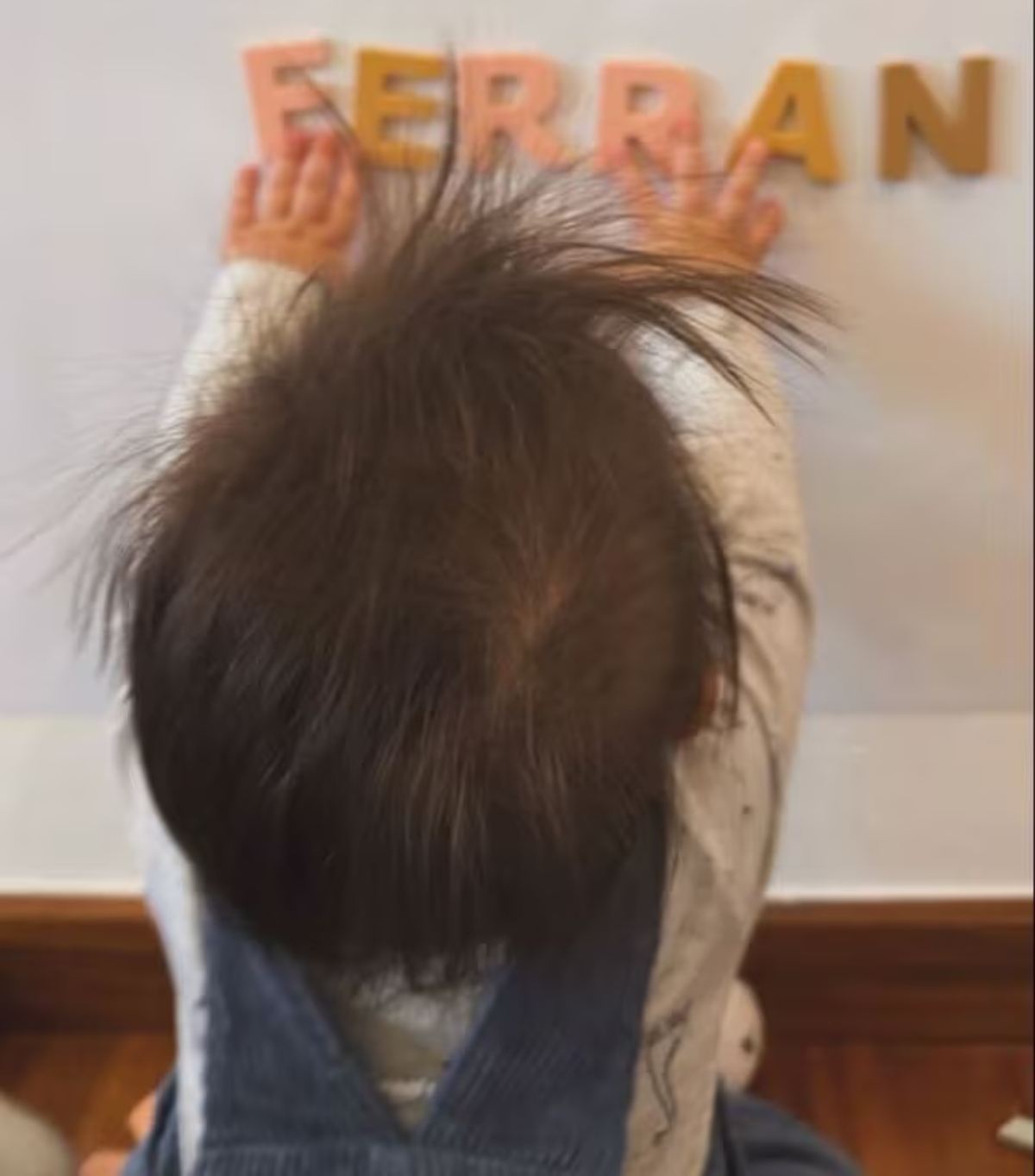 Así ha crecido Ferrán, el hijo de Sofía Rivera Torres y Eduardo Videgaray / Foto: Instagram @sofiariveratorres