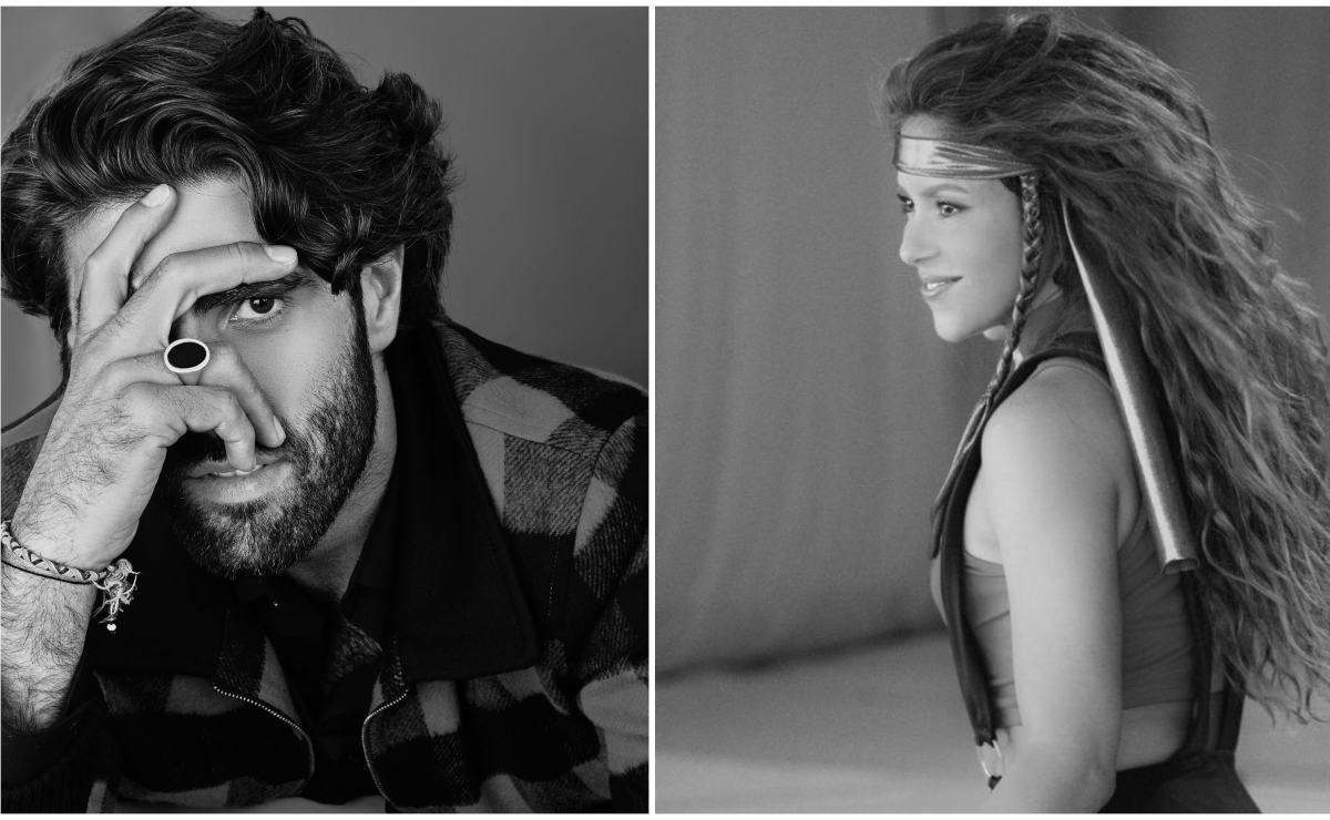 <p>
	(Cortesía / Instagram: shakira)</p>

