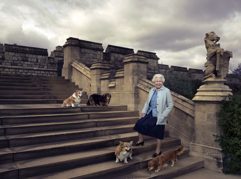 Preparan película sobre los corgis de la Reina Isabel