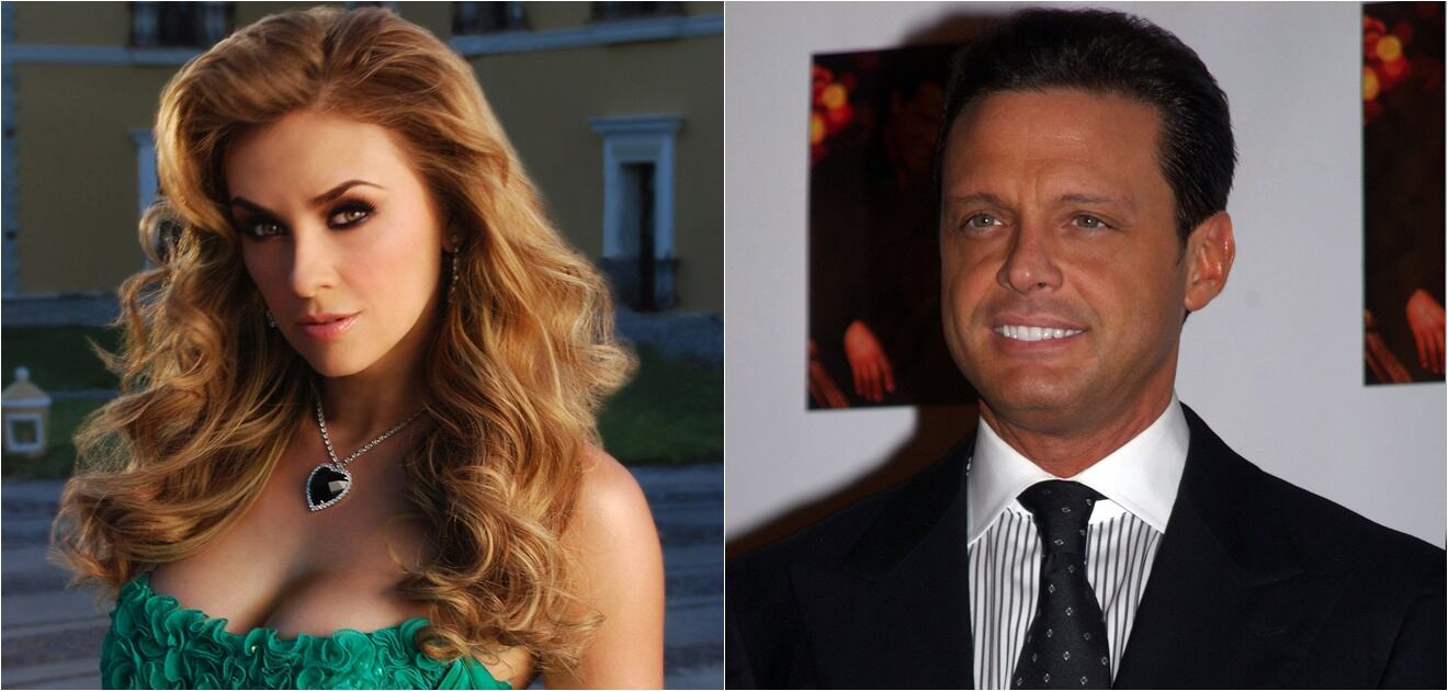 <p>Los hijos de Aracely Arámbula y Luis Miguel ya tienen 9 y 8 años. <strong>(Fotos: Archivo e Instagram)</strong></p>
