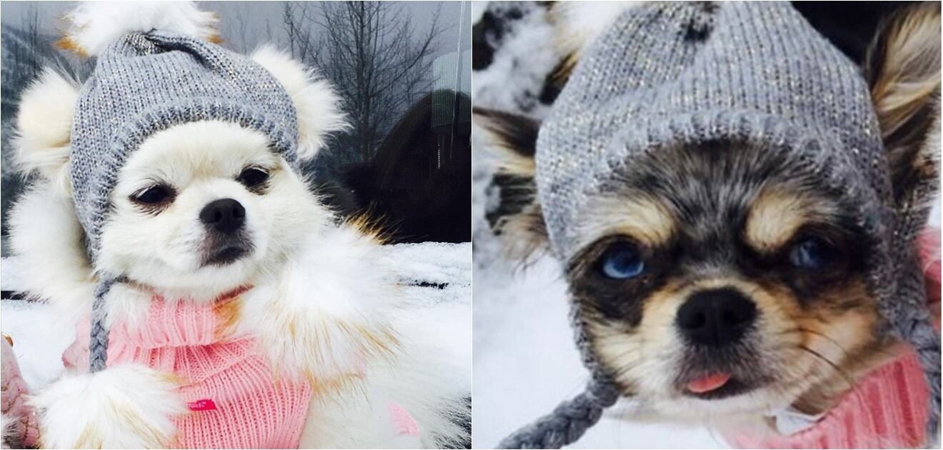 Yaya Kosikova sufrió un accidente durante su viaje de fin de año