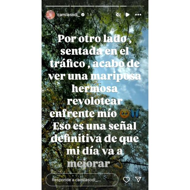 El mensaje de Camila Sodi sobre la terapia EMDR / Foto: Instagram