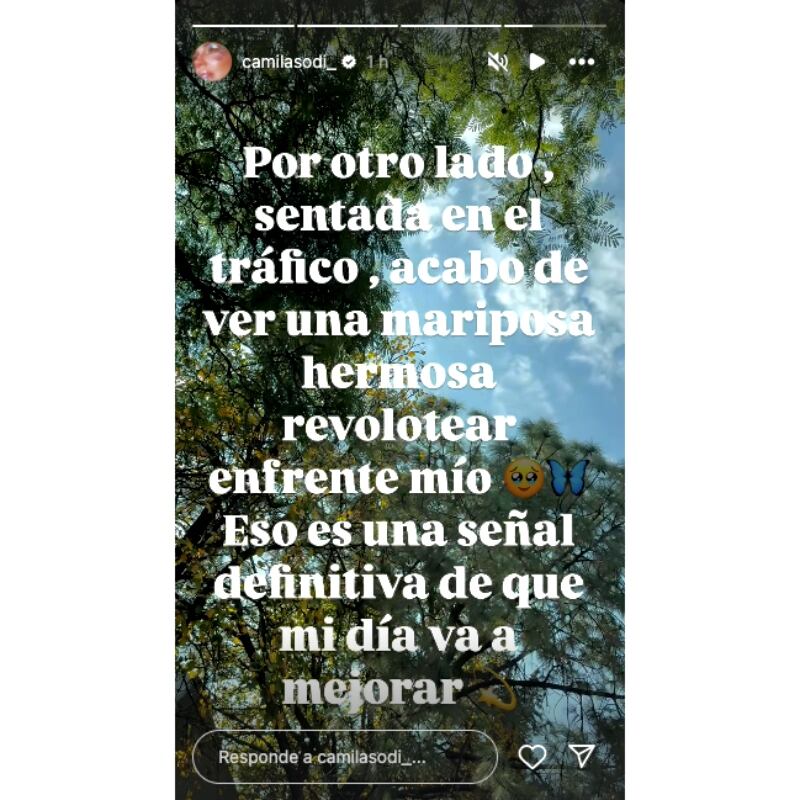 El mensaje de Camila Sodi sobre la terapia EMDR / Foto: Instagram