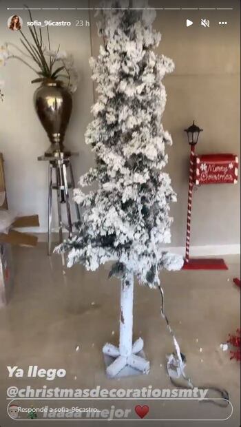 Sofía Castro, hija de Angélica Rivera, presume su árbol de Navidad