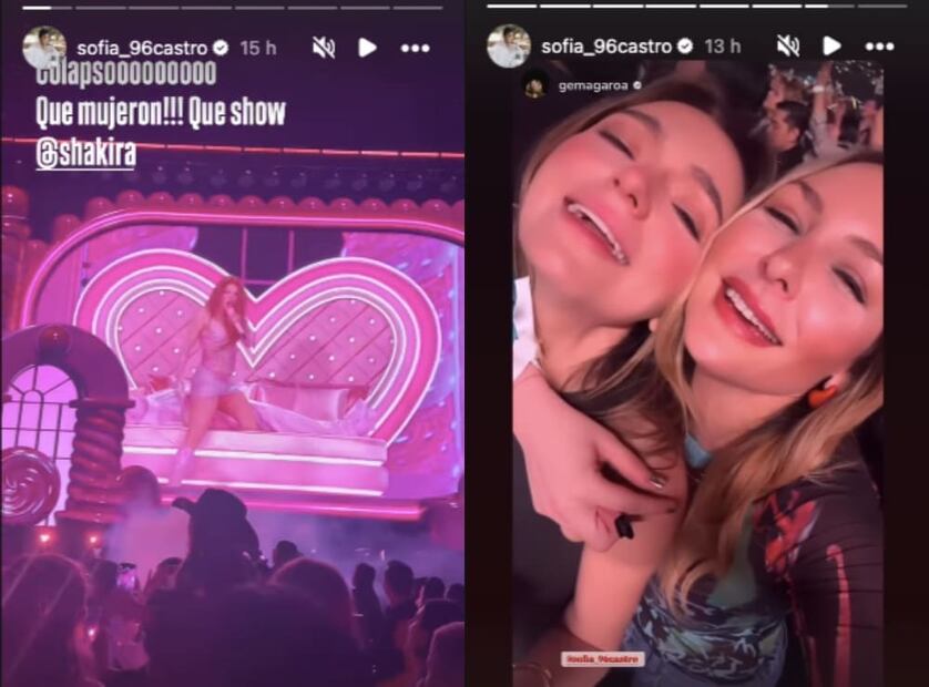 Sofía Castro en el concierto de Shakira / Foto: Instagram