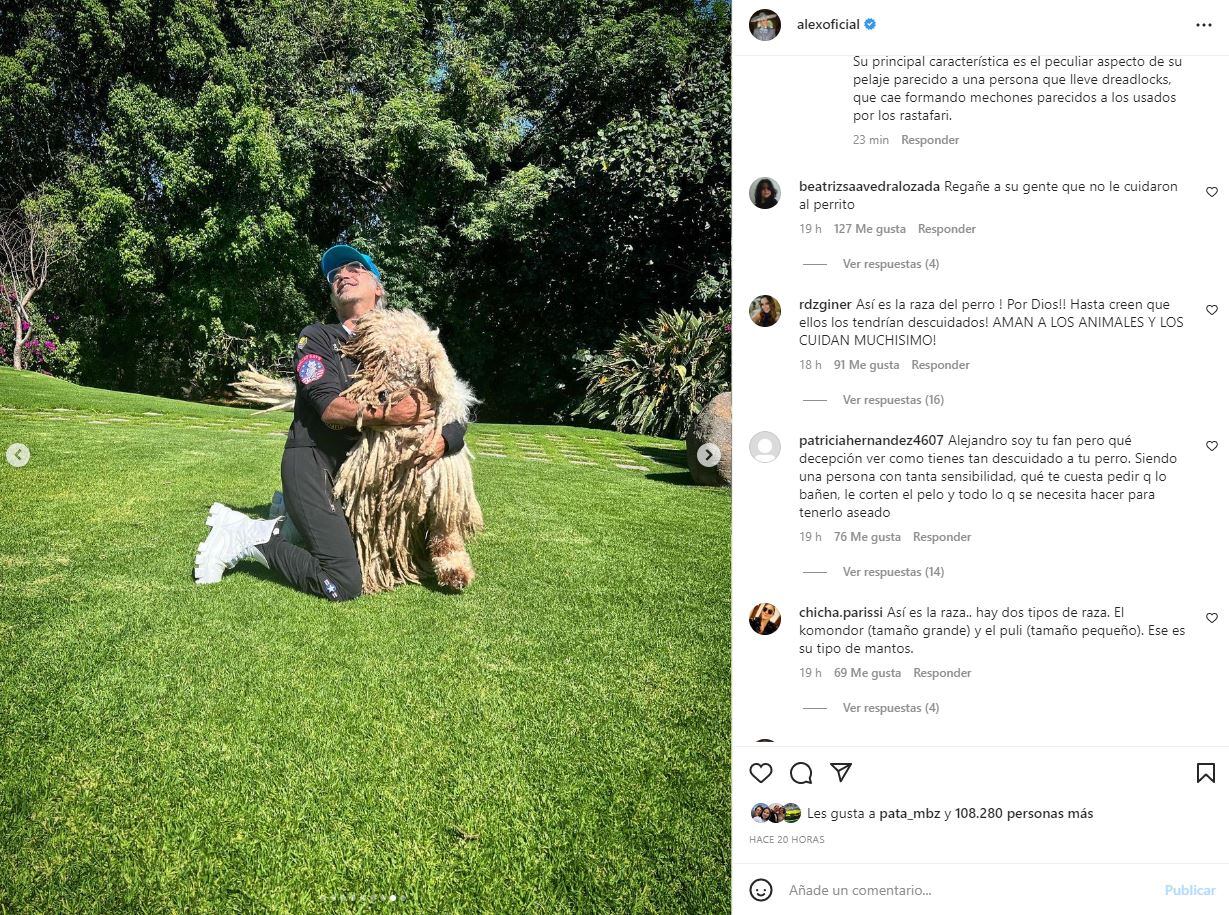 Critican a Alejandro Fernández por el aspecto de su perro, "Cómo tiene ese animal así"