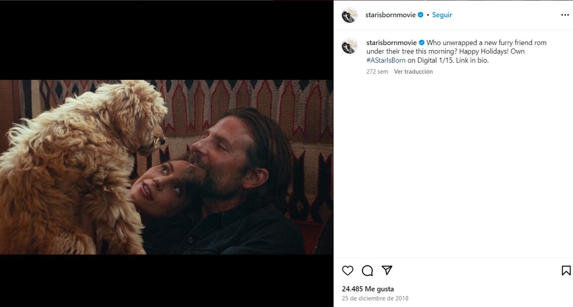 Charlie, Bradley Cooper y Lady Gaga/Instagram.