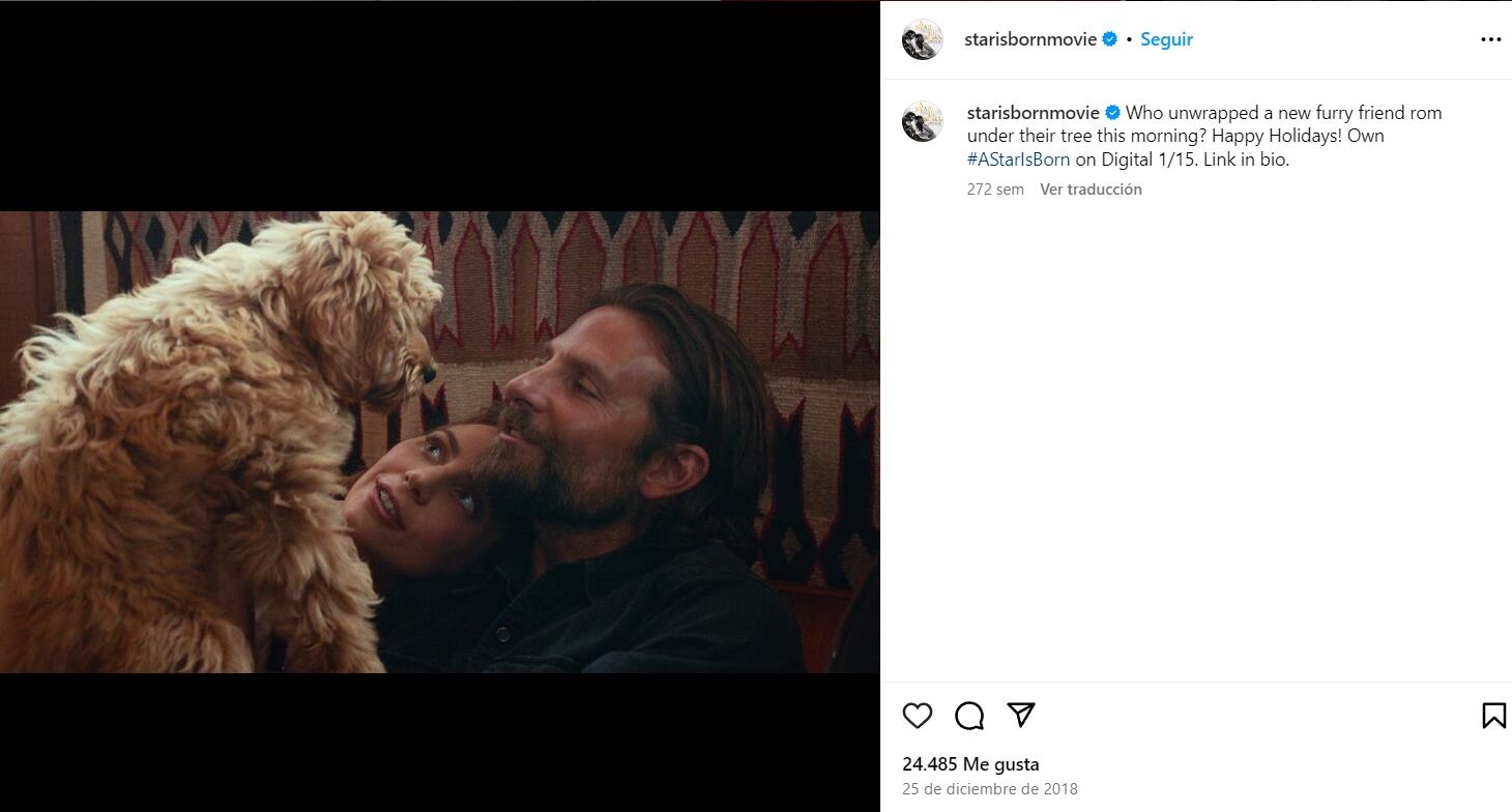 Charlie, Bradley Cooper y Lady Gaga/Instagram.