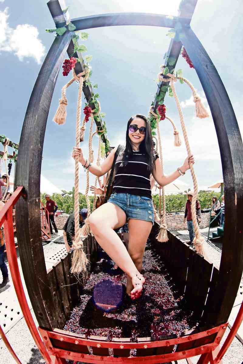 5 fiestas de la vendimia imperdibles para amantes del vino